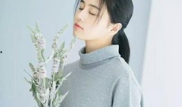 圈内人员爆料白鹿,圈内爆料揭示神秘面纱